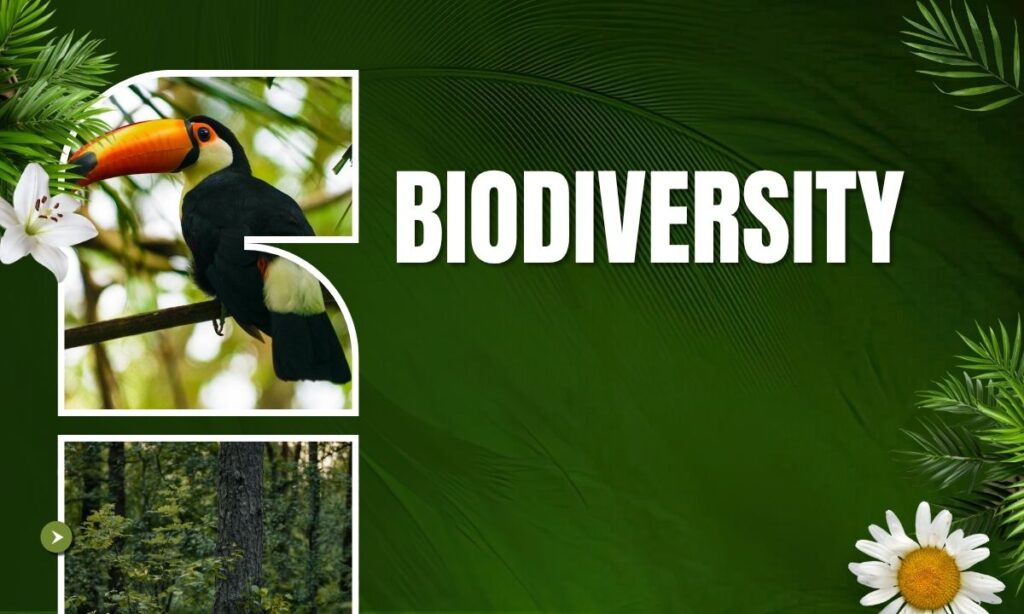 Biodiversity