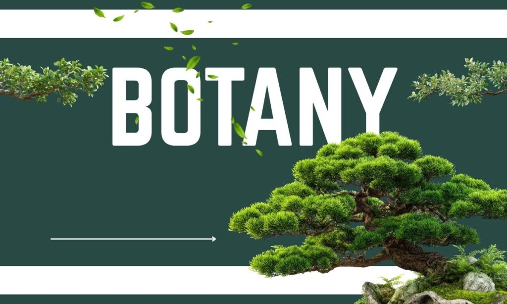 Botany