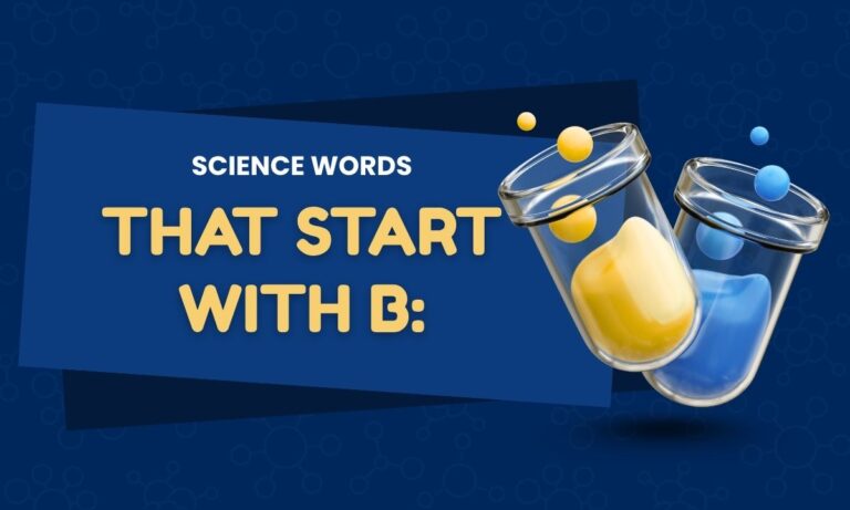 science-words-that-start-with-b